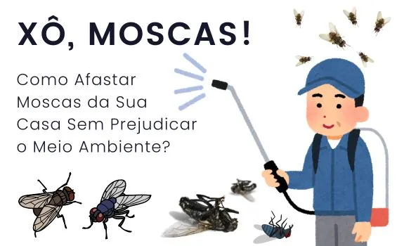 Como Afastar Moscas da Sua Casa Sem Prejudicar o Meio Ambiente